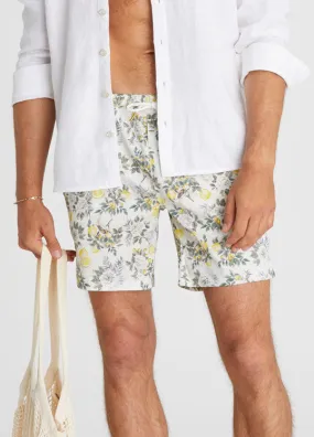 Aqua Blu Mens Boardshorts - Clementine
