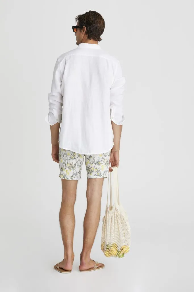 Aqua Blu Mens Boardshorts - Clementine
